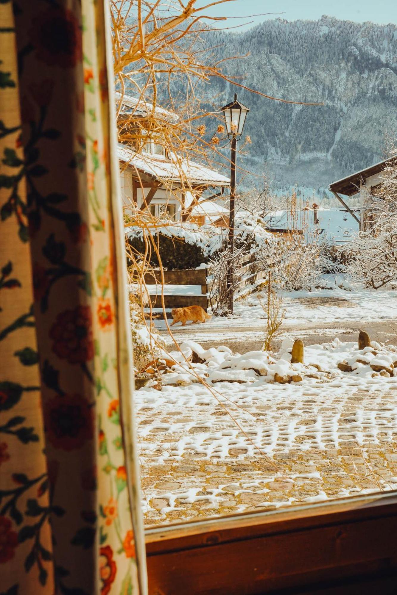 Haus Am Weiher Schwangau Zewnętrze zdjęcie